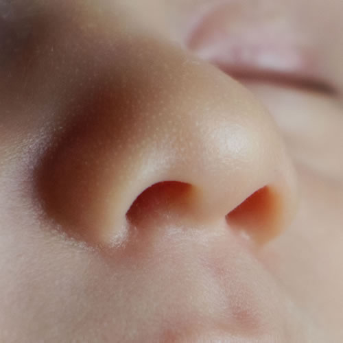 2018-051 T07A1289 Sl