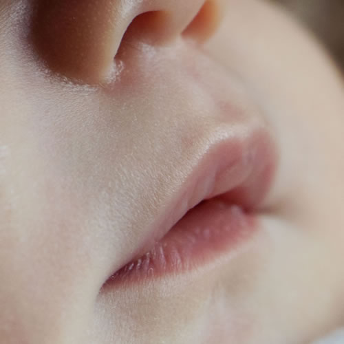 2018-052 T07A1290 Sl