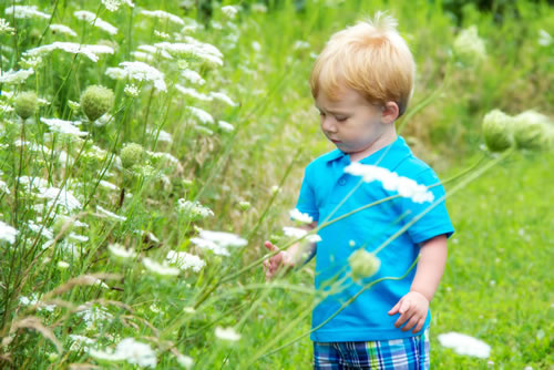 2018-111 092 IMG 1332 12